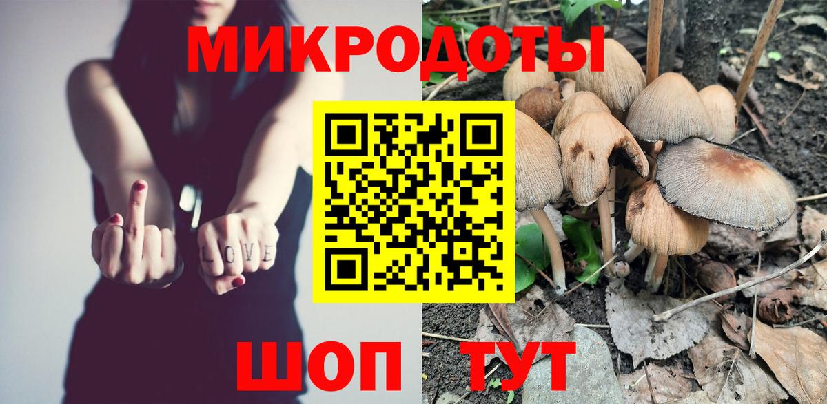 Псилоцибиновые грибы прущие грибы Ахтубинск