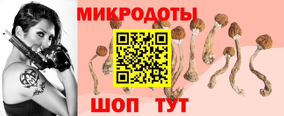 Псилоцибиновые грибы Cubensis  купить закладку  Ахтубинск  Вход с VPN  Псилоцибиновые грибы Psilocybe 